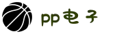 pp电子·(中国)官方网站